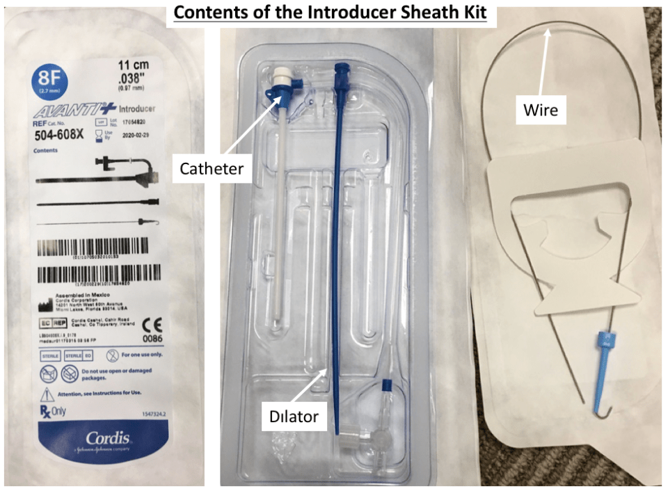 Introducer sheath